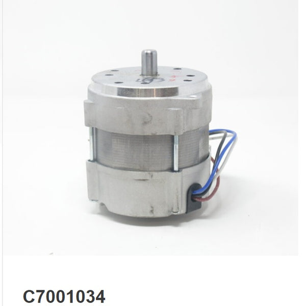 C7001034 RIELLO Motor